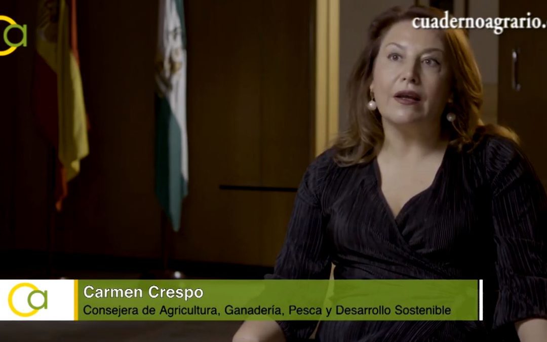 VÍDEO: Carmen Crespo analiza la situación en Andalucía de la mujer en el campo en el Día de la Mujer Rural