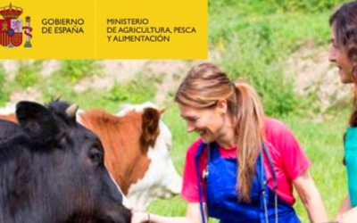 El Ministerio de Agricultura, Pesca y Alimentación convoca ayudas para asociaciones de mujeres en el ámbito rural por 500.000 euros