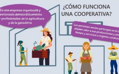AMCAE-Andalucía lanza una campaña audiovisual para fomentar el acceso de mujeres cooperativistas a cargos de representación