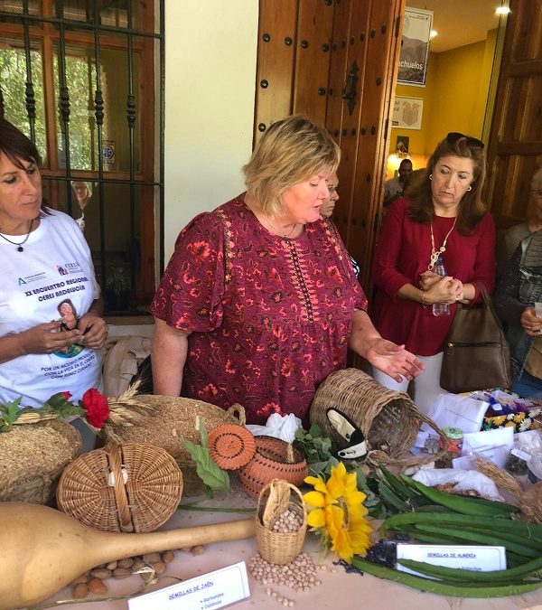 XX Encuentro Regional de CERES Andalucía “Aprender a cuidarnos para poder cuidar”