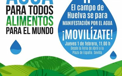 FADEMUR Huelva apoya la manifestación del próximo 1 de febrero en Sevilla