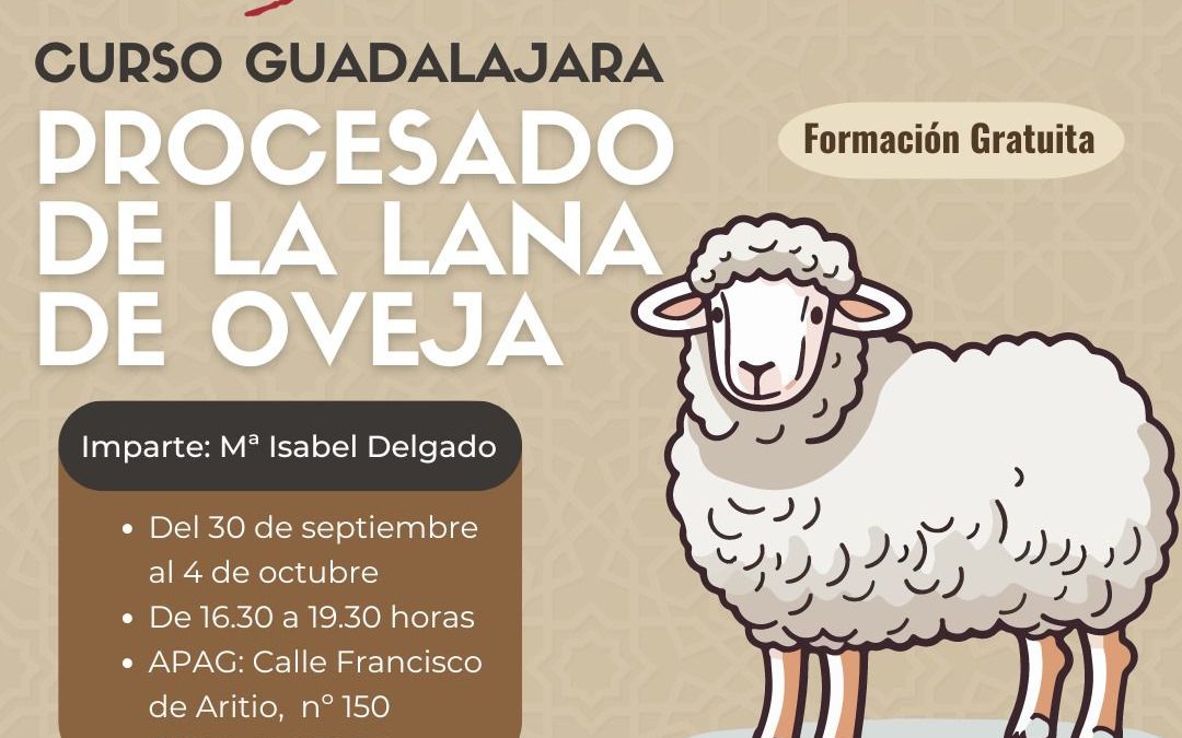 AMFAR enseña a las mujeres a procesar la lana de oveja como oportunidad de emprendimiento